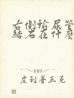 右侧输尿管腹段结石在什么位置