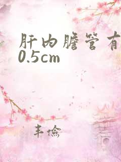 肝内胆管有结石0.5cm