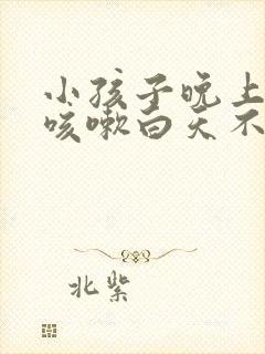 小孩子晚上睡觉咳嗽白天不咳是什么原因