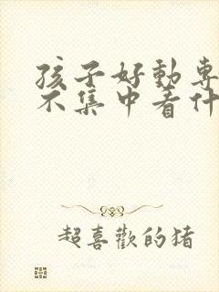 孩子好动专注力不集中看什么科