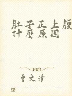 肚子正上腹疼痛什么原因