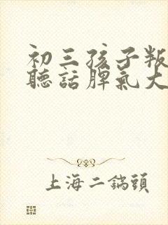 初三孩子叛逆不听话脾气大怎么办