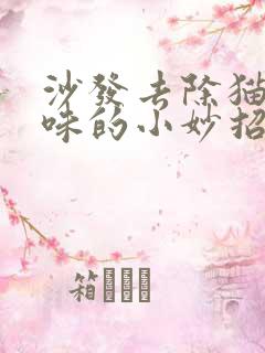 沙发去除猫尿骚味的小妙招