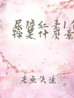 尿胆红素1个加号是什么意思