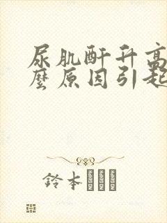 尿肌酐升高是什么原因引起的