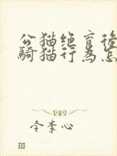 公猫绝育后还有骑猫行为怎么回事