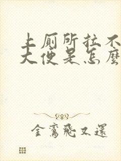 上厕所拉不出来大便是怎么回事