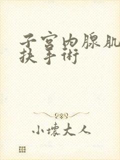 子宫内腺肌症海扶手术