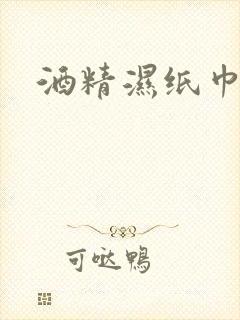 酒精湿纸巾品牌