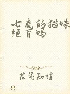 七岁的猫咪可以绝育吗