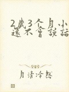 2岁3个月小孩还不会说话