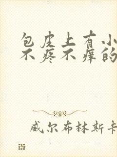 包皮上有小水泡不疼不痒的