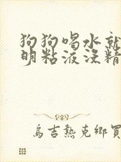 狗狗喝水就吐透明粘液没精神