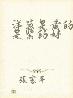 洋葱是黄的好还是紫的好