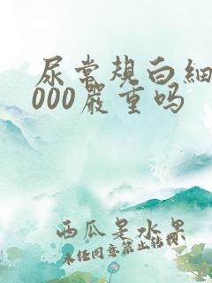 尿常规白细胞5000严重吗