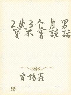 2岁3个月男宝宝不会说话怎么办