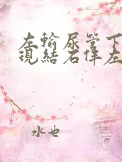 左输尿管下段出现结石伴左肾轻度积水