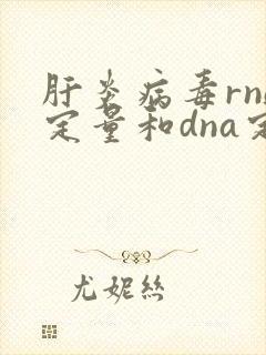 肝炎病毒rna定量和dna定量的关系