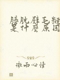 膀胱壁毛糙增厚是什么原因