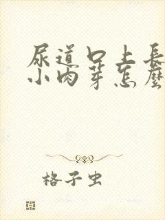 尿道口上长了个小肉芽怎么回事