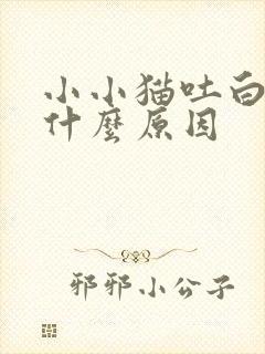 小小猫吐白沫是什么原因