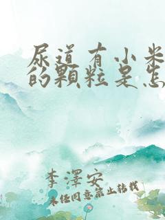 尿道有小米粒大的颗粒是怎么回事