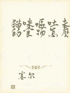 猫咪呕吐未消化的食物怎么办