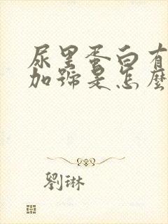 尿里蛋白有一个加号是怎么回事