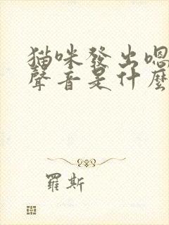 猫咪发出嗯啊的声音是什么意思