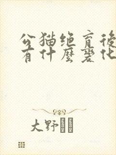 公猫绝育后身体有什么变化