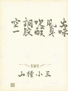 空调吹风出来有一股酸臭味