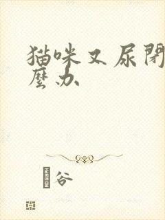 猫咪又尿闭了怎么办