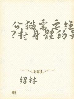 公猫需要绝育吗?对身体的影响