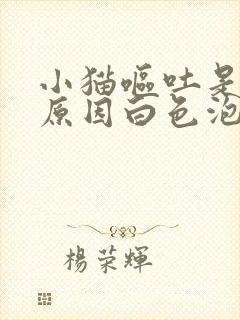 小猫呕吐是什么原因白色泡沫