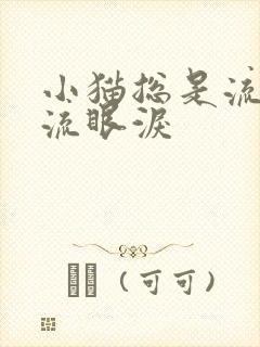 小猫总是流鼻涕流眼泪