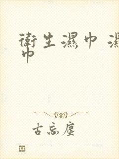 卫生湿巾 湿纸巾