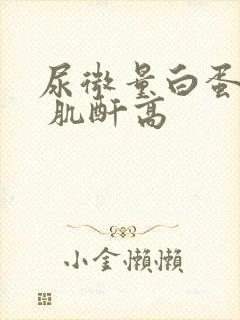 尿微量白蛋白高 肌酐高