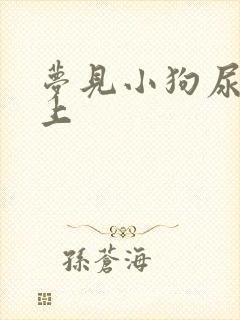 梦见小狗尿我身上