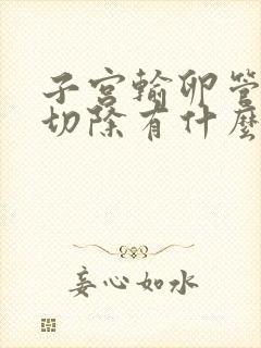 子宫输卵管卵巢切除有什么影响