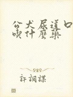 公犬尿道口黄脓吃什么药