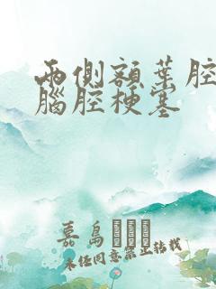 两侧额叶腔隙性脑腔梗塞