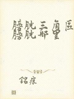 膀胱三角区位于膀胱哪里