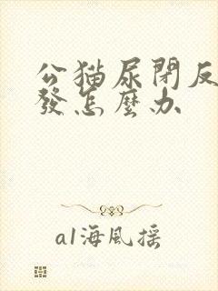 公猫尿闭反复复发怎么办