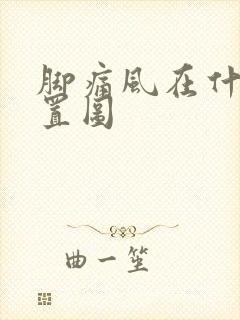 脚痛风在什么位置图