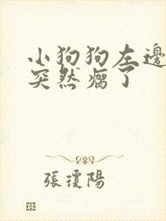 小狗狗左边后腿突然瘸了