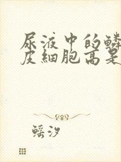 尿液中的鳞状上皮细胞高是怎么回事