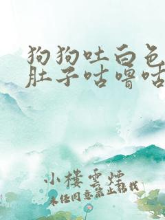 狗狗吐白色粘液肚子咕噜咕噜响