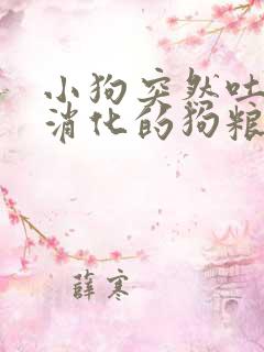 小狗突然吐了没消化的狗粮