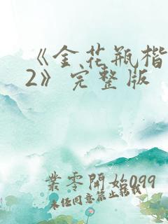 《金花瓶楷梅花2》完整版