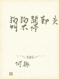 狗狗关节炎疼得叫不停